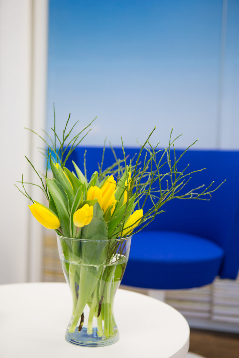 Reiseland Hittfeld Maria Scharnberg Fotografie