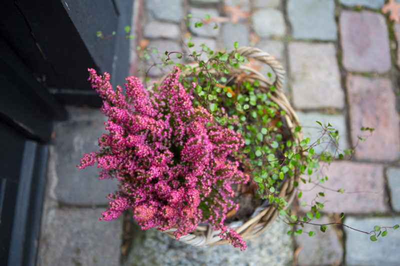 Reiseland Hittfeld Maria Scharnberg Fotografie